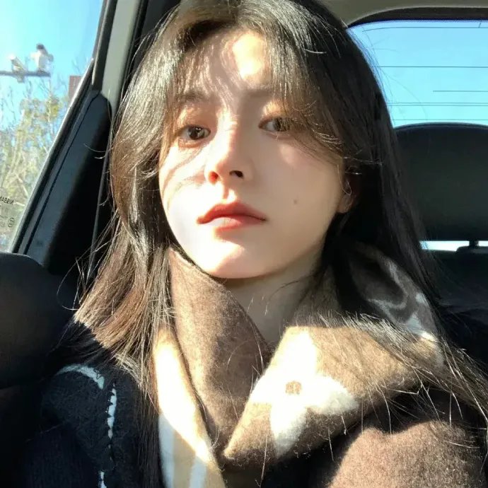 圣诞王子：皇家婚礼